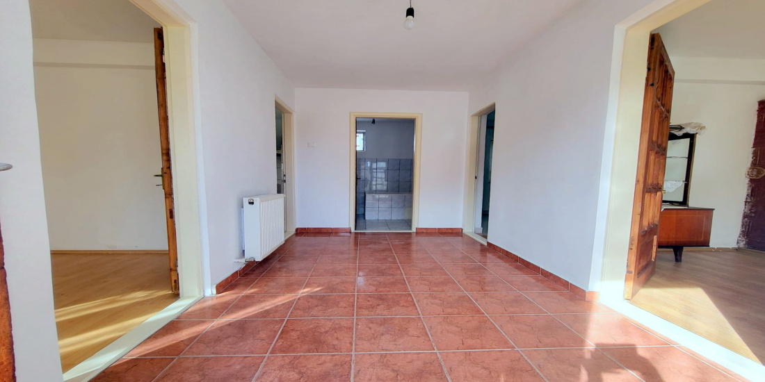 Letea, 3 Bedrooms Bedrooms, 3 Camere Camere,Case/Vile,Vanzare,1989