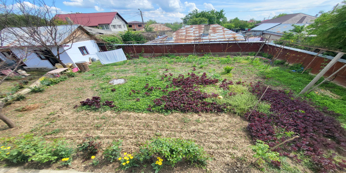 Serbanesti, 6 Bedrooms Bedrooms, 6 Camere Camere,Case/Vile,Vanzare,2003