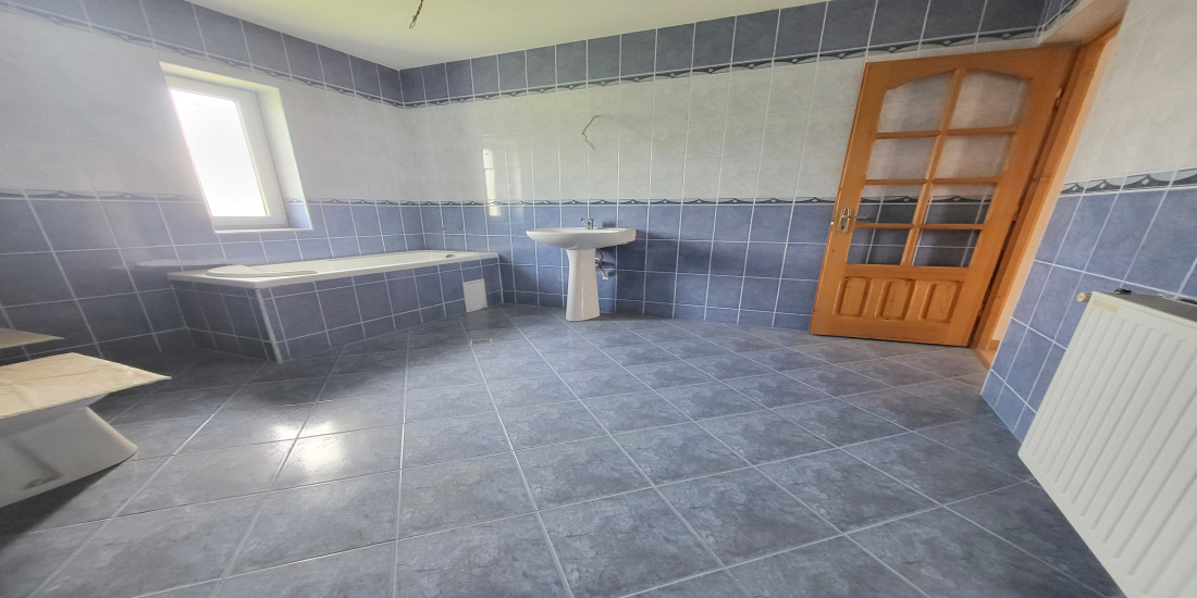 Serbanesti, 6 Bedrooms Bedrooms, 6 Camere Camere,Case/Vile,Vanzare,2003