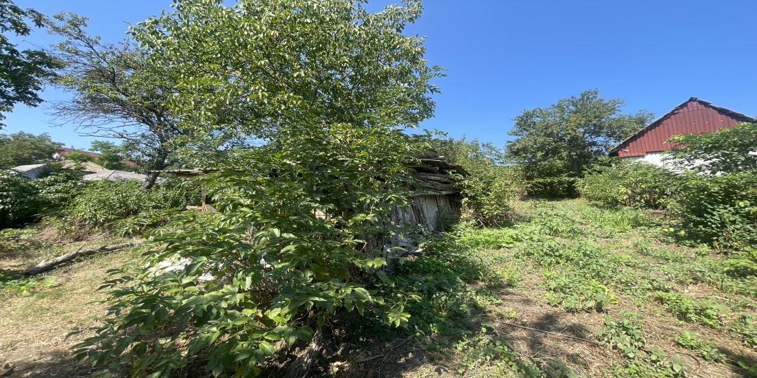 Casa de vanzare , casa Faraoani 