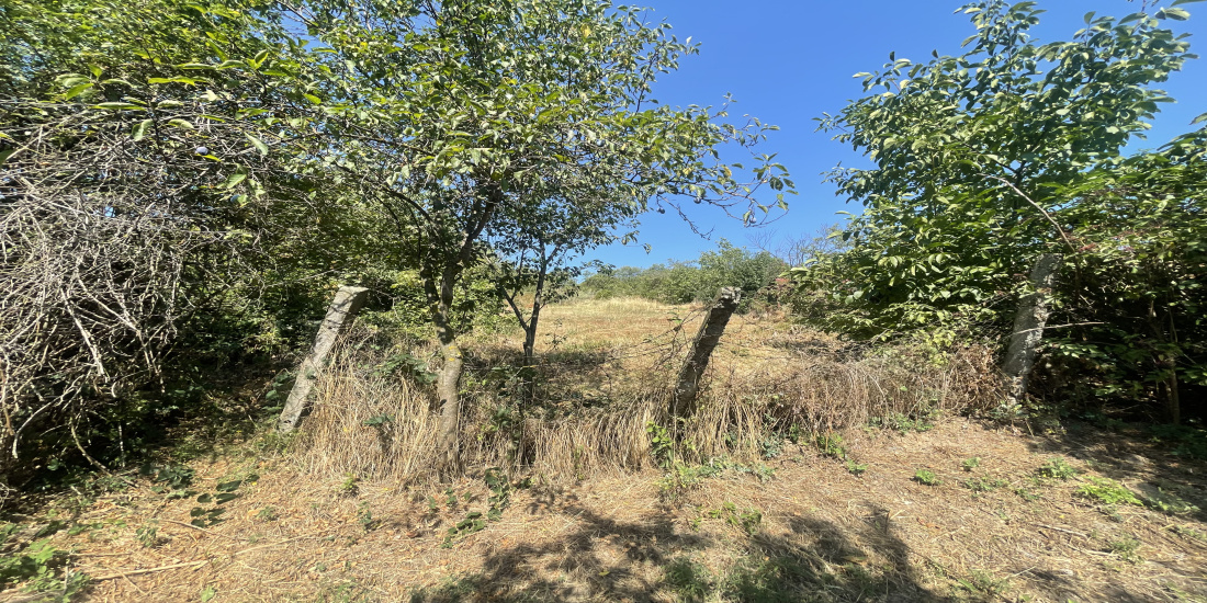 Casa de vanzare , casa Faraoani 