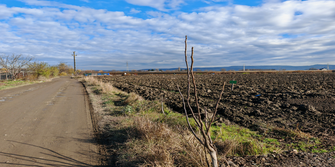 Address not available!, ,Teren de vanzare,Vanzare,2098