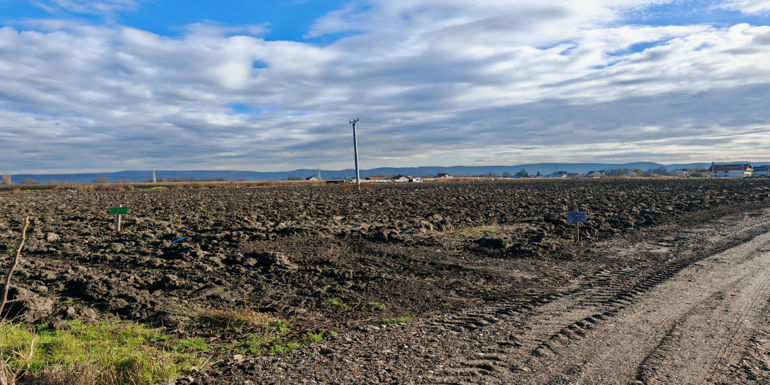 Address not available!, ,Teren de vanzare,Vanzare,2098