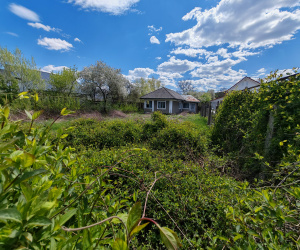 Magura, ,Teren de vanzare,Vanzare,2131