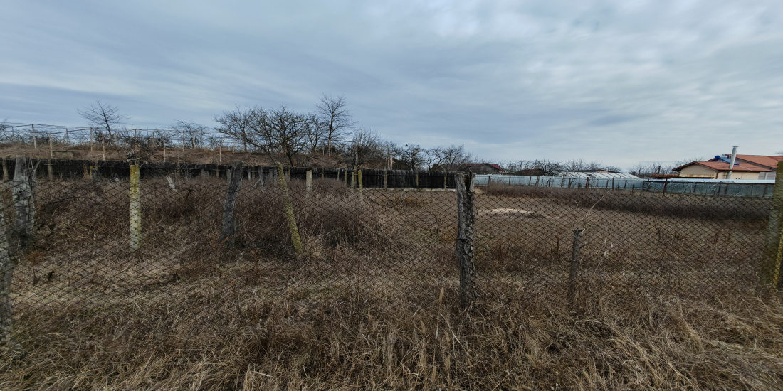 Letea, ,Teren de vanzare,Vanzare,2132