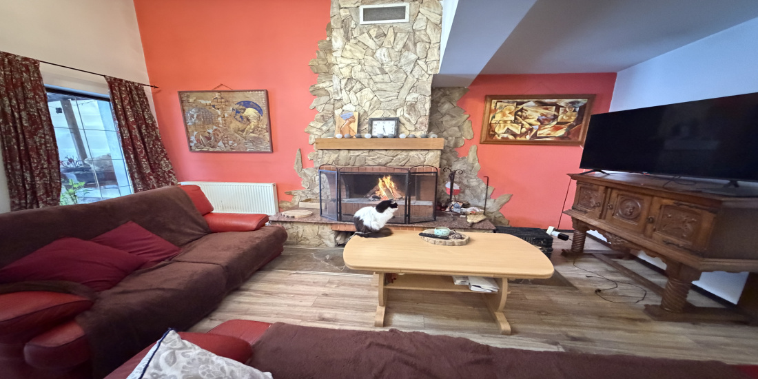 Vila, vila de vânzare, imobiliare, casa bacau