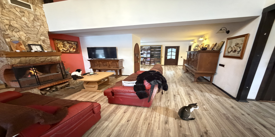 Vila, vila de vânzare, imobiliare, casa bacau