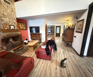 Vila, vila de vânzare, imobiliare, casa bacau