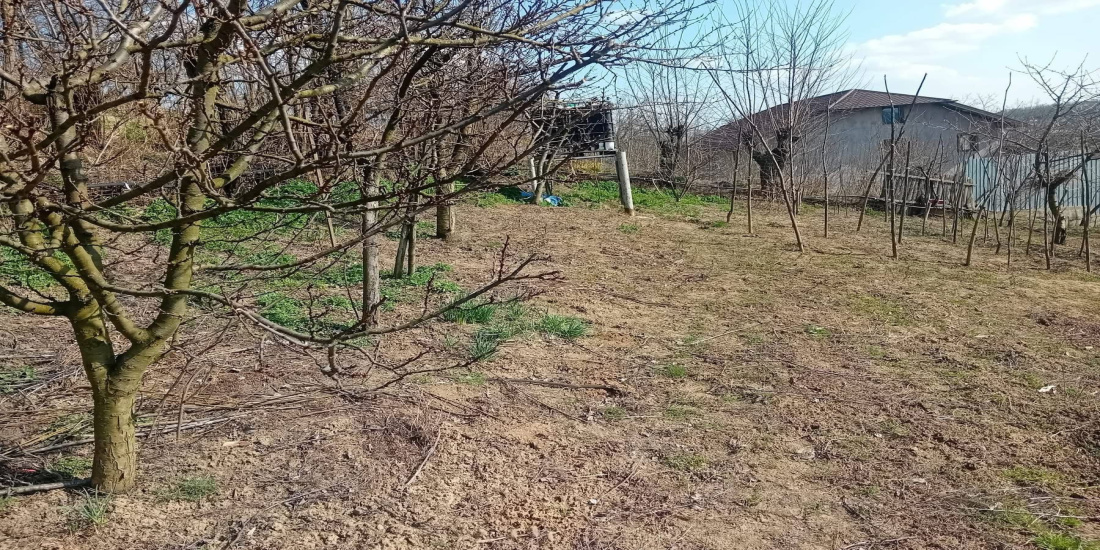 imobiliare, casa de vanzare, bacau, Margineni, 