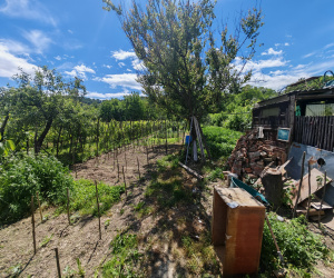 Bacau, 6 Bedrooms Bedrooms, ,Case/Vile,Vanzare,2167