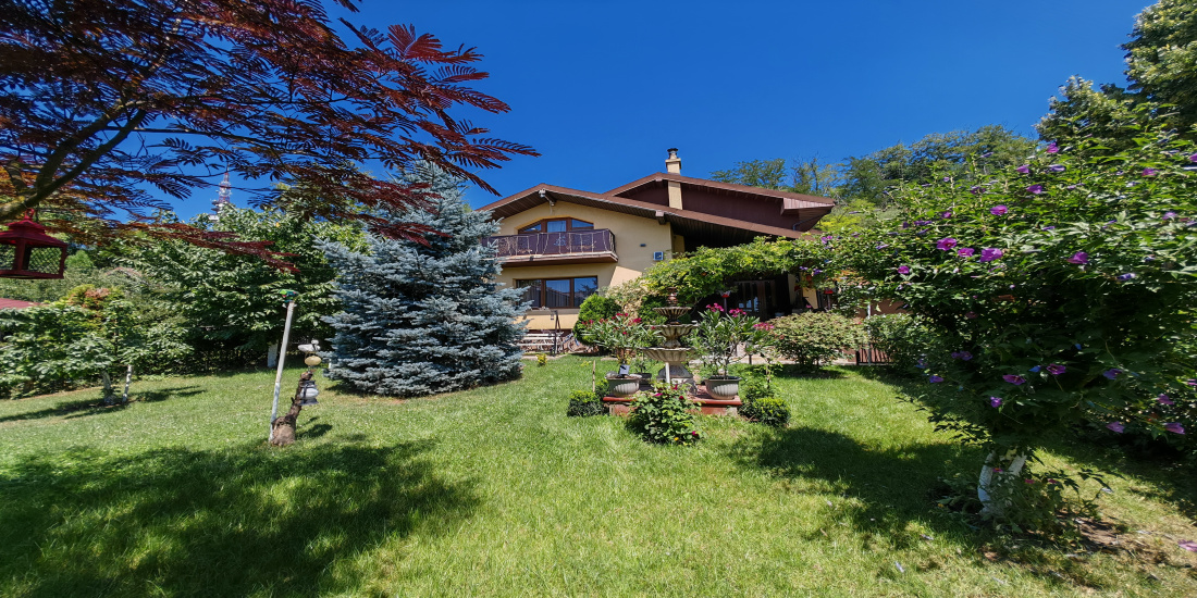 Serbanesti, 6 Bedrooms Bedrooms, 5 Camere Camere,Case/Vile,Vanzare,2201