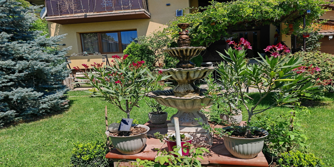 Serbanesti, 6 Bedrooms Bedrooms, 5 Camere Camere,Case/Vile,Vanzare,2201
