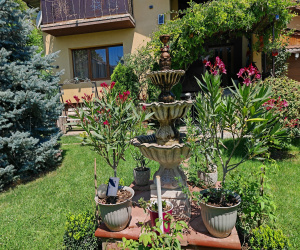 Serbanesti, 6 Bedrooms Bedrooms, 5 Camere Camere,Case/Vile,Vanzare,2201