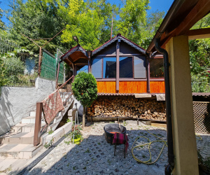 Serbanesti, 6 Bedrooms Bedrooms, 5 Camere Camere,Case/Vile,Vanzare,2201