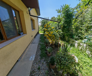 Serbanesti, 6 Bedrooms Bedrooms, 5 Camere Camere,Case/Vile,Vanzare,2201