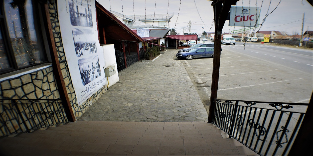 Nicolae Balcescu, 10 Bedrooms Bedrooms, 10 Camere Camere,Case/Vile,Vanzare,1608