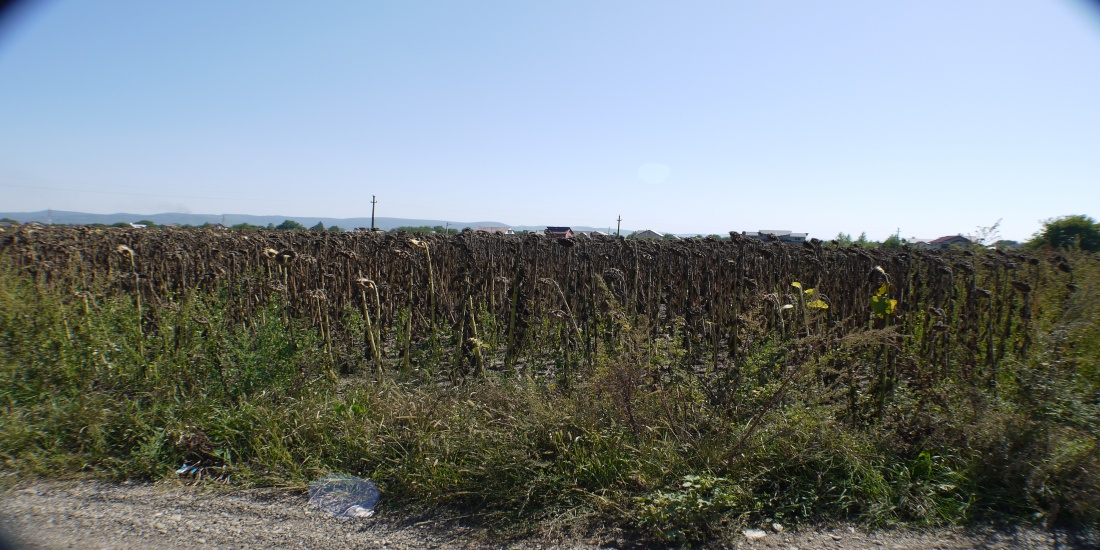 Address not available!, ,Teren de vanzare,Vanzare,1703